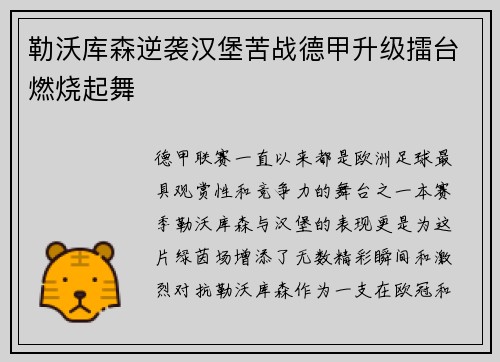 勒沃库森逆袭汉堡苦战德甲升级擂台燃烧起舞