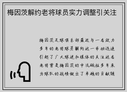 梅因茨解约老将球员实力调整引关注