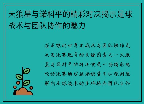 天狼星与诺科平的精彩对决揭示足球战术与团队协作的魅力
