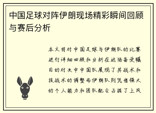中国足球对阵伊朗现场精彩瞬间回顾与赛后分析